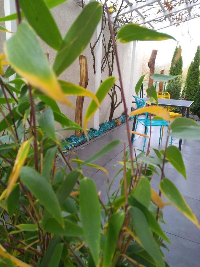 Art & Nature Apartments In Der Naehe Ffm-Messe Bad Vilbel Extérieur photo